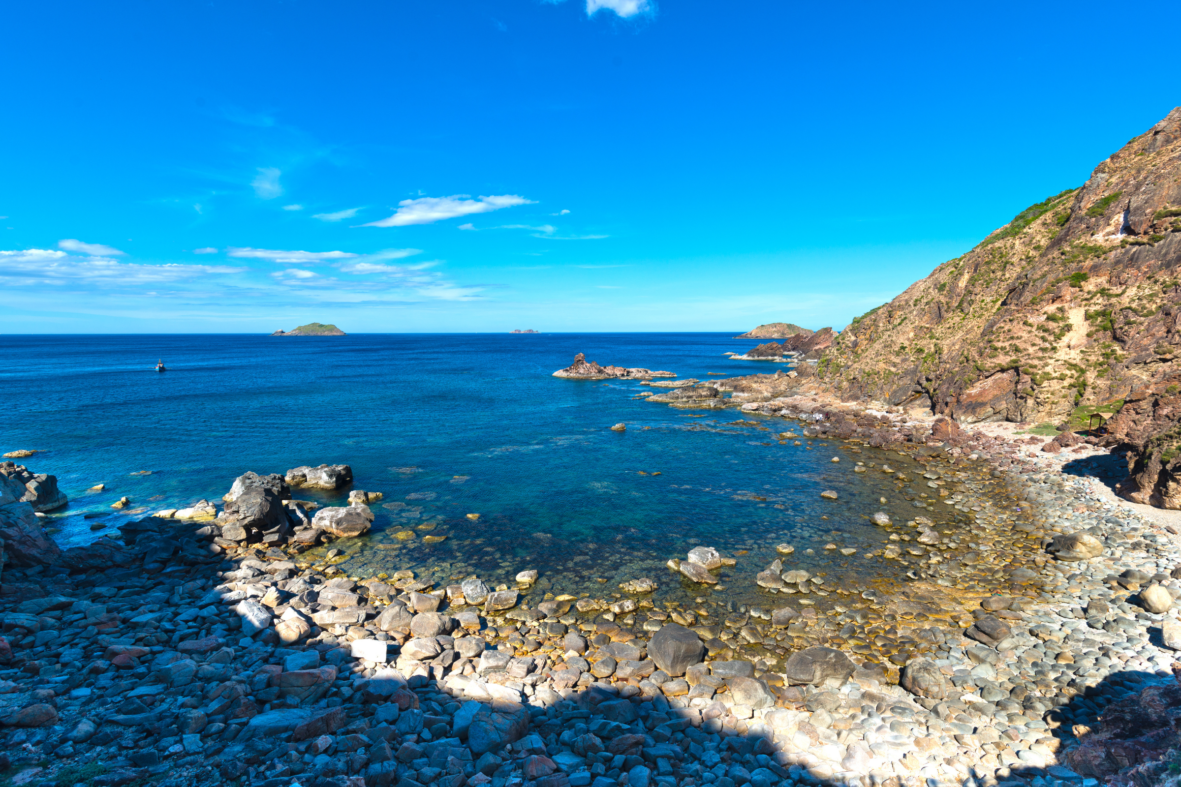 qui nhon (2).webp